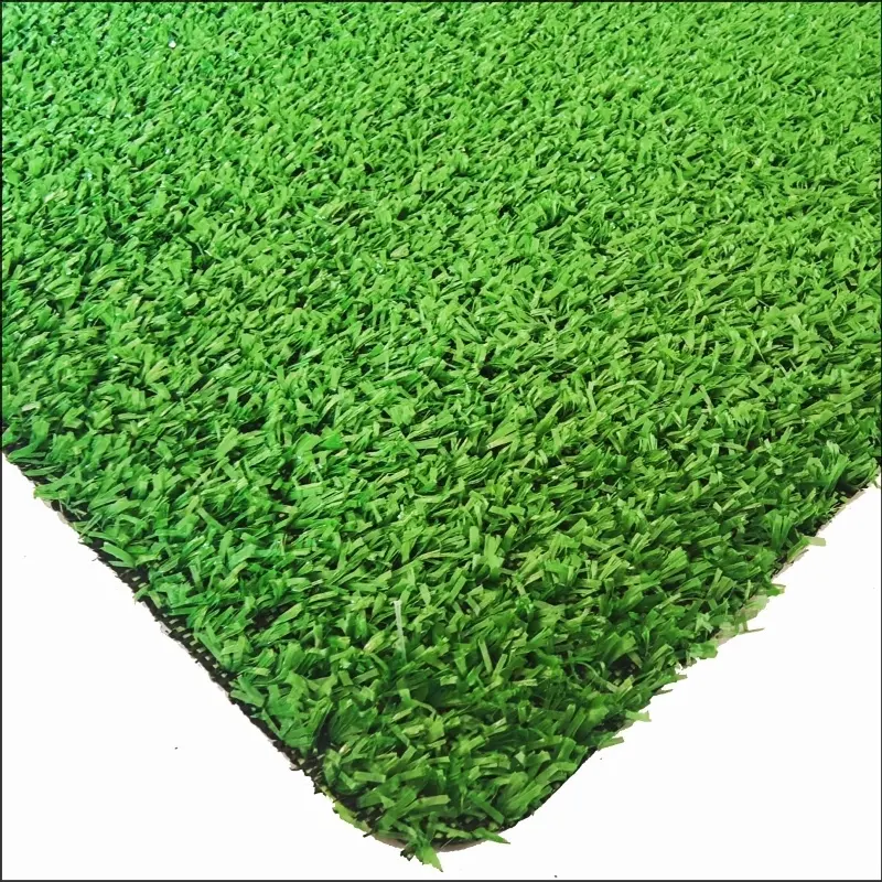Karpet Grass CG8