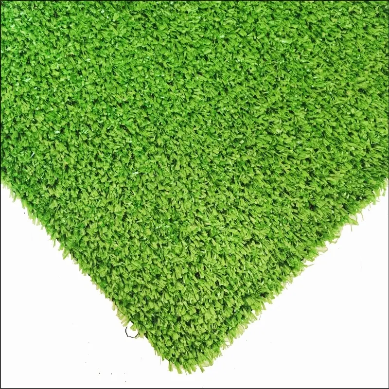 Karpet Grass CG10