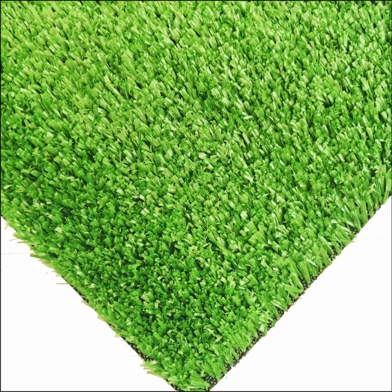 Rumput Karpet CG15