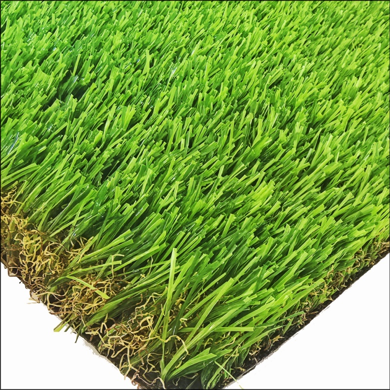 See More About Garden Grass (GG35)-id