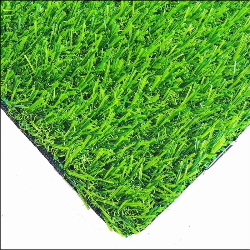 See More About Rumput taman bermain (PG20)