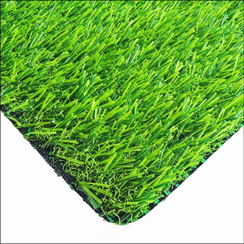 See More About Rumput bermain (pg25)