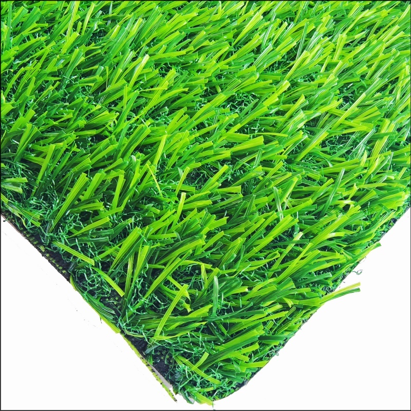 See More About Rumput bermain (pg30)