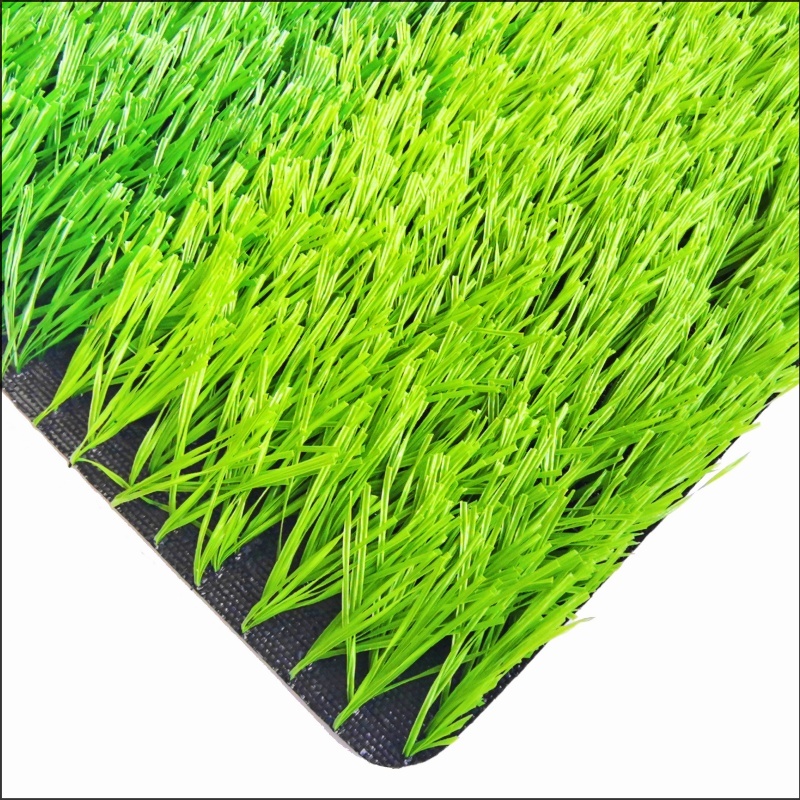 See More About Rumput Sepak Bola (FG50)