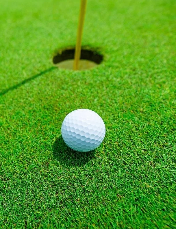 Rumput golf-id