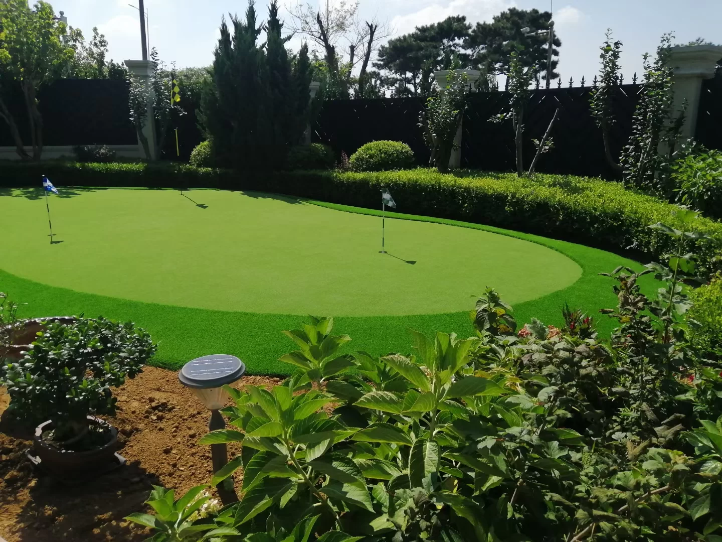 Jenis Rumput Untuk Lapangan Sepak Bola dan Peran Rumput Buatan di Fasilitas Olahraga Modern